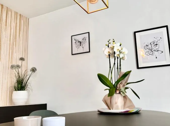 Apartmán Maravilia Apartment - Vicino Al Monte Tamaro